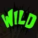 Wild symbol